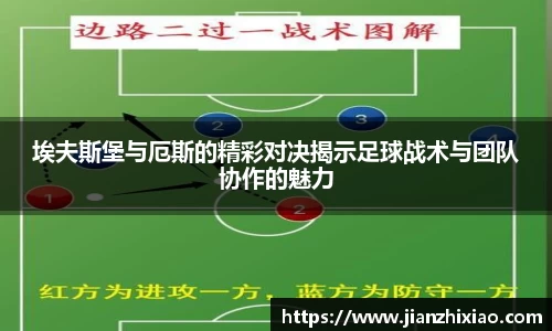 球速体育官网